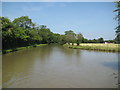 Ashby Canal: Basin Bridge Winding Hole