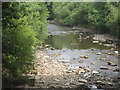 River Tawe & Heron