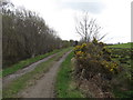 Causeway south towards Roghan Bog