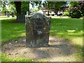 Gravestone of Walter McFarlan