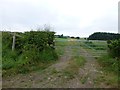 NU1605 : Public bridleway to Newton Greens by Russel Wills