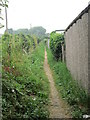 Footpath - Jerry Clay Lane