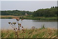 Rural scene in Cleethorpes Country Park