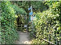 SZ5476 : The Isle of Wight Coastal Path Entering Ventnor Botanic Garden by David Dixon