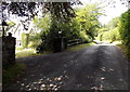 Lane past the entrance to The Old Vicarage, Llanstephan