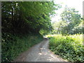 Lane to Ffawydd, Llanstephan