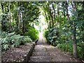 Steps to riverside footpath