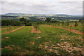 Apple orchard above Bredwardine