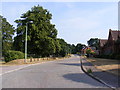 Old Grammar Lane, Bungay