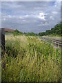 Railway Line between Fryent Country Park and The Mall