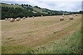 SO2941 : Hay bales near Cwm Farm by Philip Halling