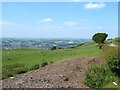 Sheep pasture near Pen-y-wern