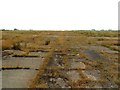 SP6410 : The runway at RAF Oakley by Steve Daniels
