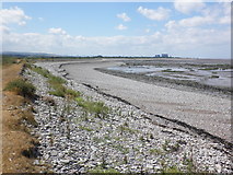ST2545 : Pebble beach at Bridgwater Bay by Roger Cornfoot