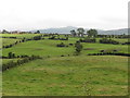 View north across farmland from the Ballydrumman Road