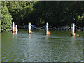 Weir barrier, Shepperton