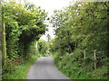 View north along the tree-lined Moor Road