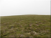 NN8182 : Summit area, Uchd a' ChlÃ rsair by Richard Webb