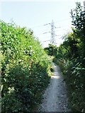 TQ7560 : Pylon by the Pilgrims Way by Chris Whippet