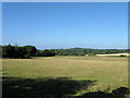 The Kiln Field/Barn Field