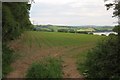 Field above the Tamar