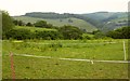 Pasture near Tinnel Farm