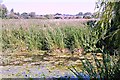 View across the River Deben