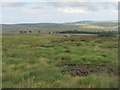 NT6163 : Grouse moor on the Lammermuir Hills by M J Richardson