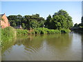 Ashby Canal: Market Bosworth Winding Hole