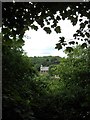 View of Thurlstone St Saviour