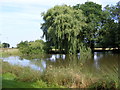 TM3487 : Pond near Manor Farm by Geographer