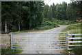 Track into woodland west of the A9 at Aviemore