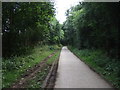 Cycle trail heading east