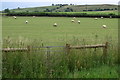 Footpath towards Quainton