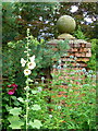 Hollyhocks and echinops in Bexon Manor garden, Bredgar