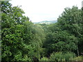 View up to Crug Hywel from north of Llangenny