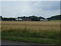 Farmland, Sharp Hill