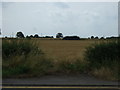 Farmland off Melton Road