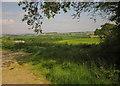 Farmland, Kernock