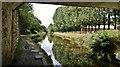 Huddersfield Narrow Canal near Slaithwaite