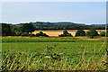 Looking south from the A272 towards the South Downs