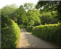 Lane to Pillaton Bridge