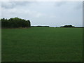 Farmland near Harby