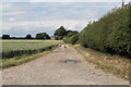 TF2493 : Track to North Farm by J.Hannan-Briggs