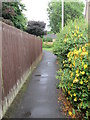 Footpath - Ellar Gardens