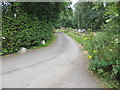 Spinney Lane looking east