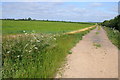 SK9908 : Farmland access track by Philip Halling