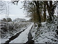 SN6156 : Bridleway near Commins Capel Betws by Gillian Neal