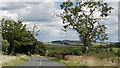 Minor road in valley of Hedleyhope Burn