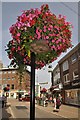 Tiverton : Fore Street Hanging Basket